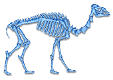 CamelBones