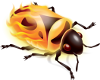 Firebug